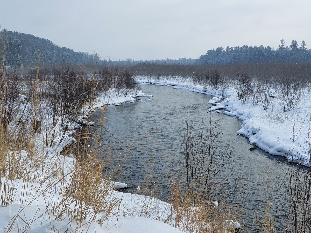 Boardman River in winter